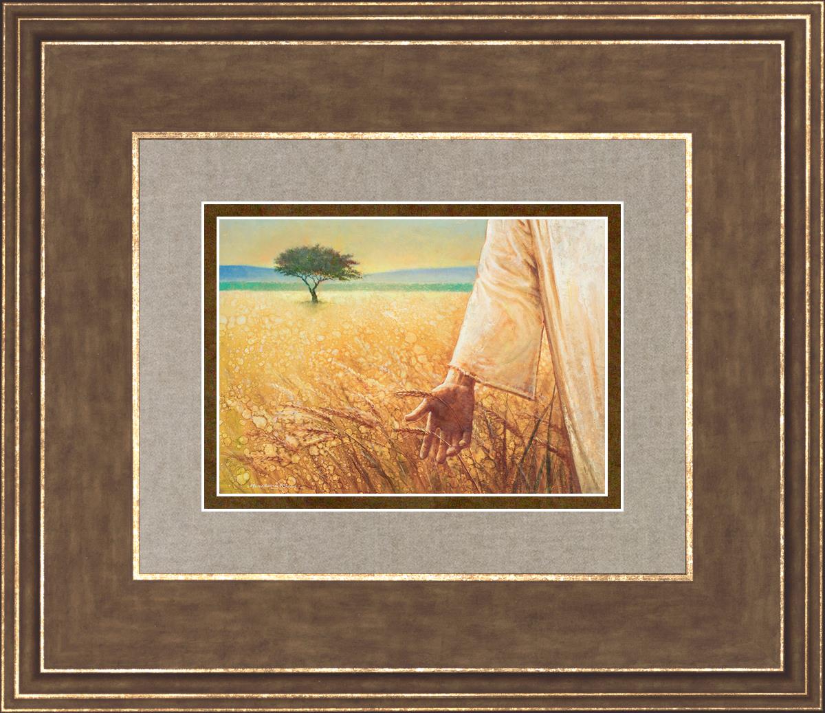 Wheat and Tares