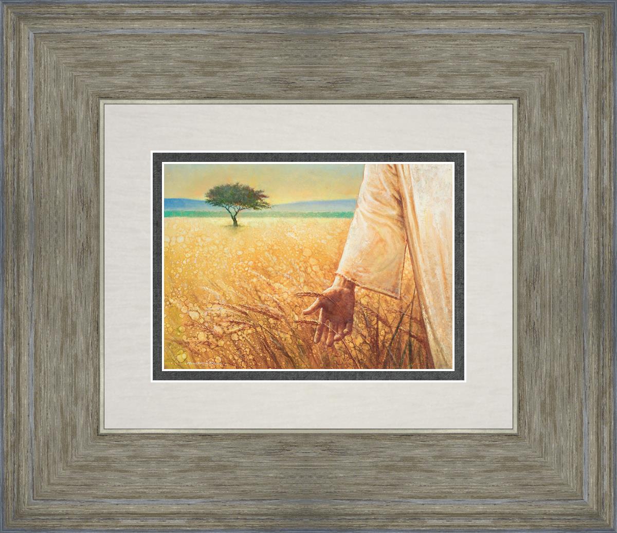 Wheat and Tares