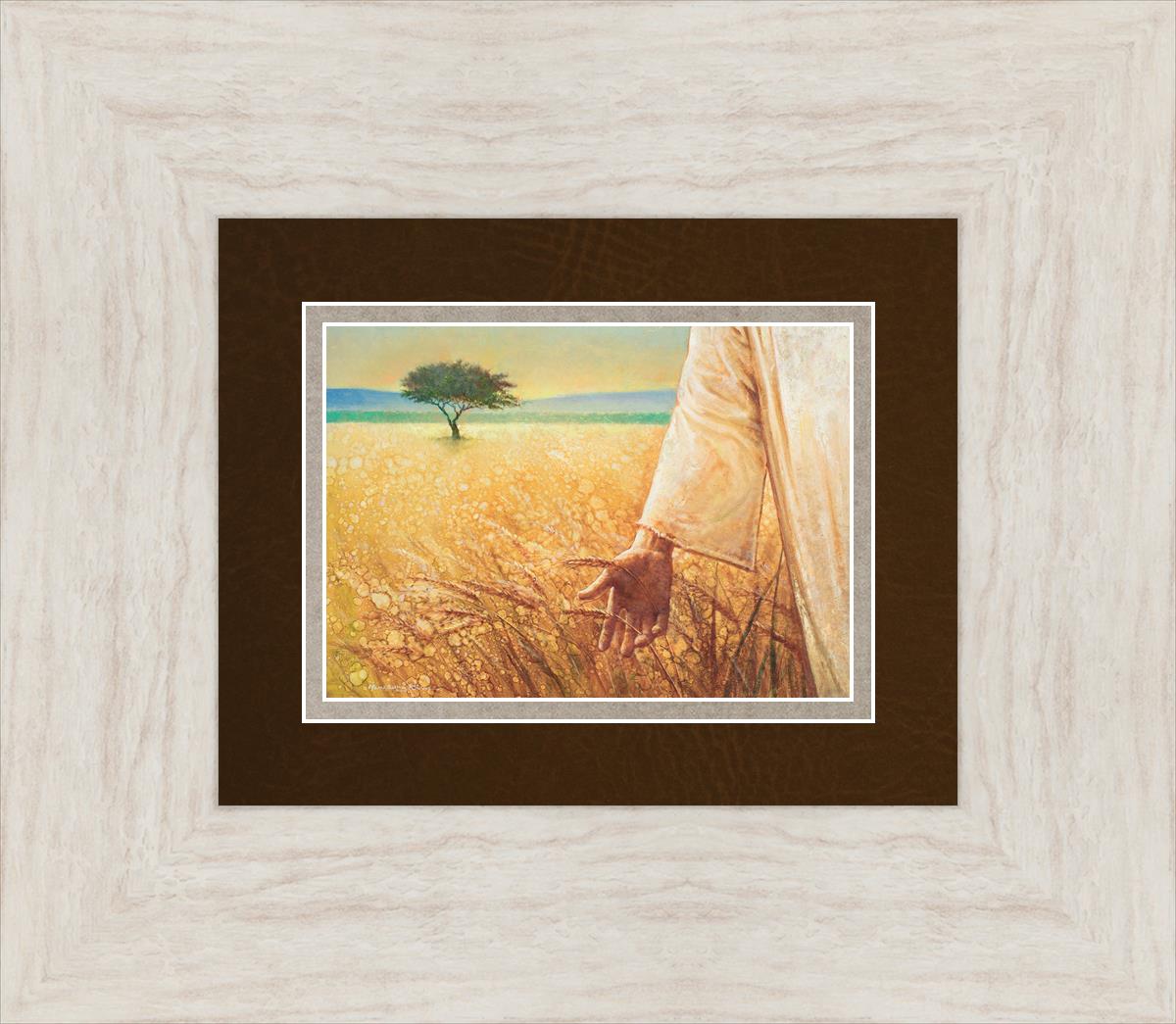 Wheat and Tares