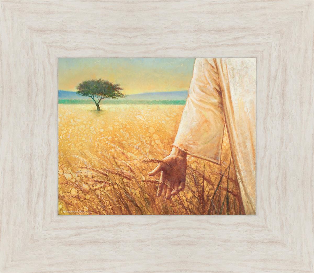 Wheat and Tares