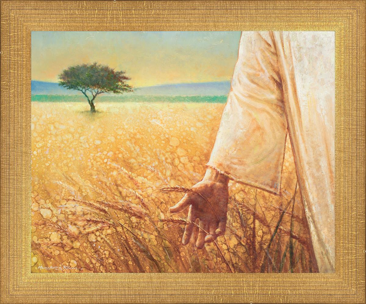 Wheat and Tares