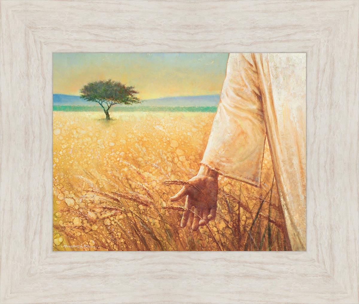 Wheat and Tares