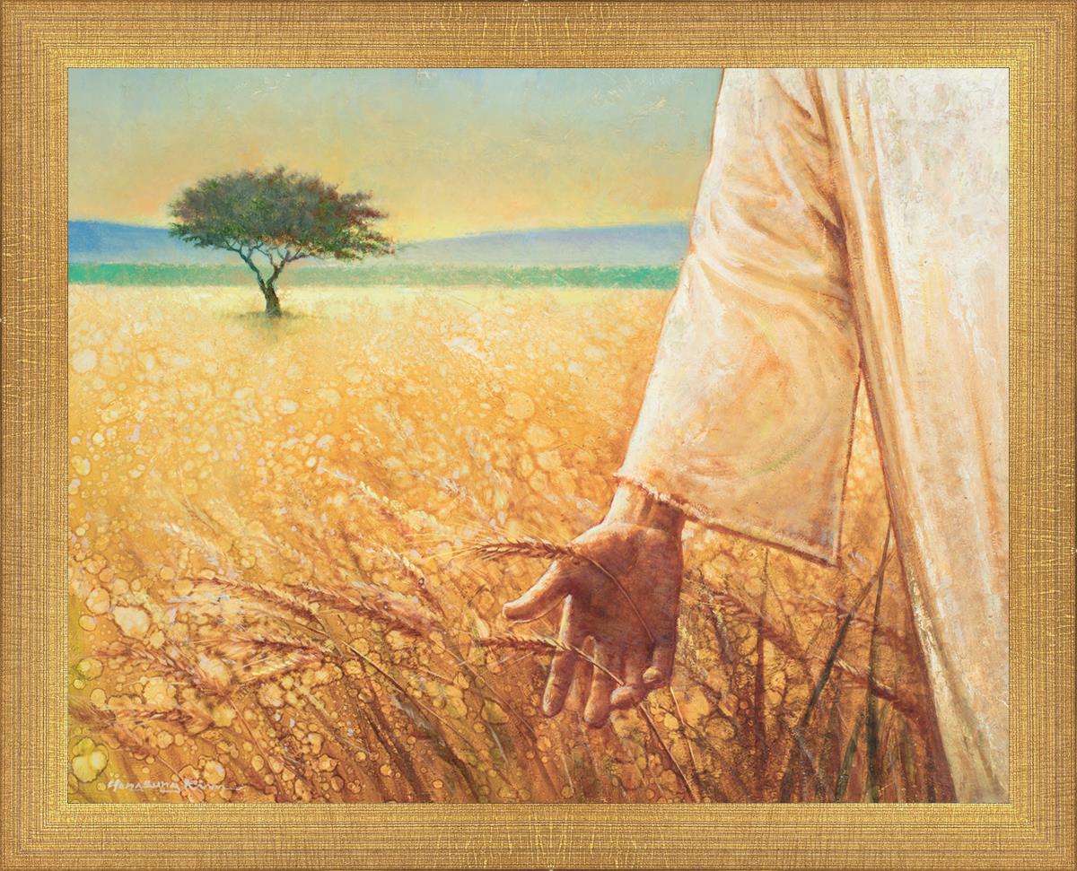 Wheat and Tares