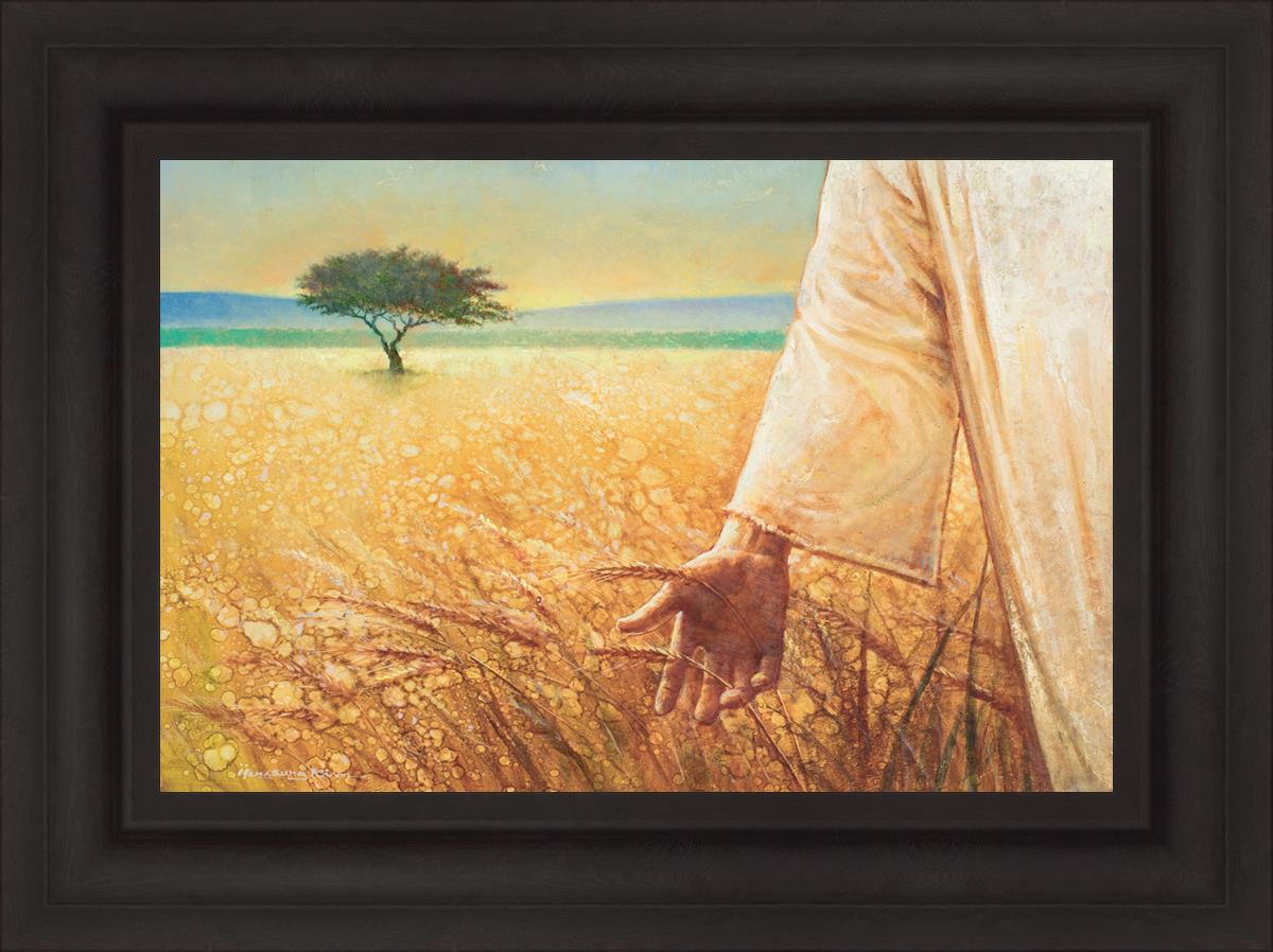 Wheat and Tares