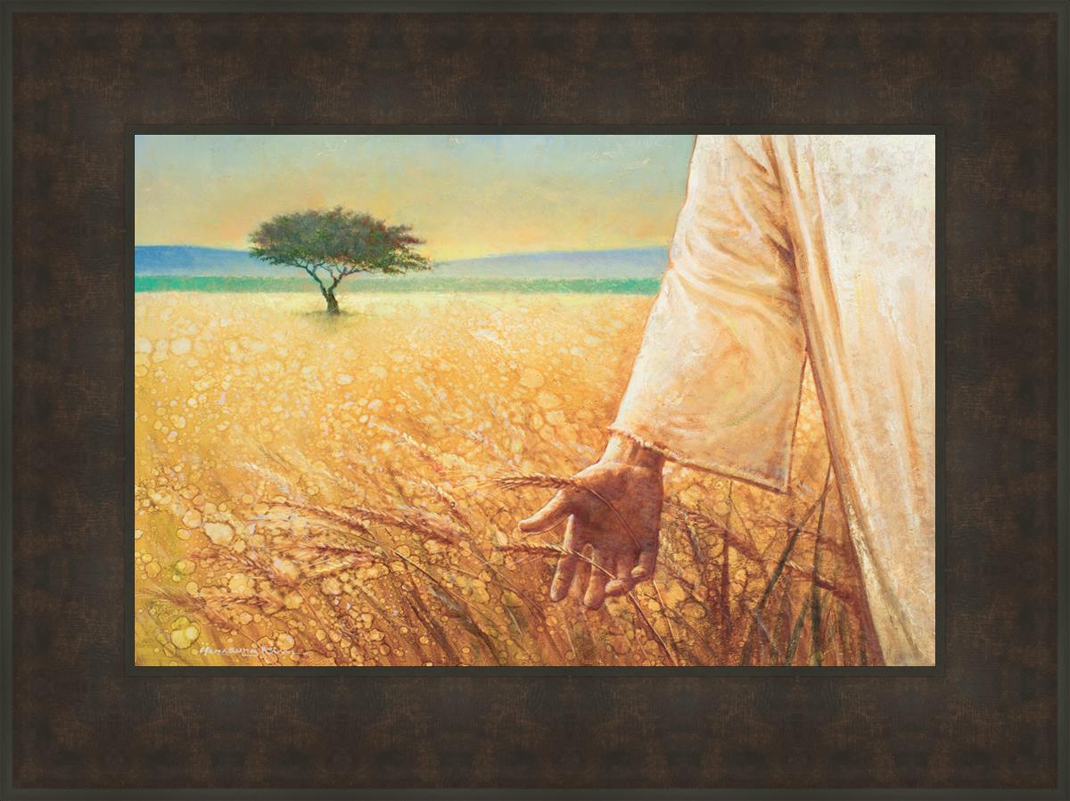 Wheat and Tares