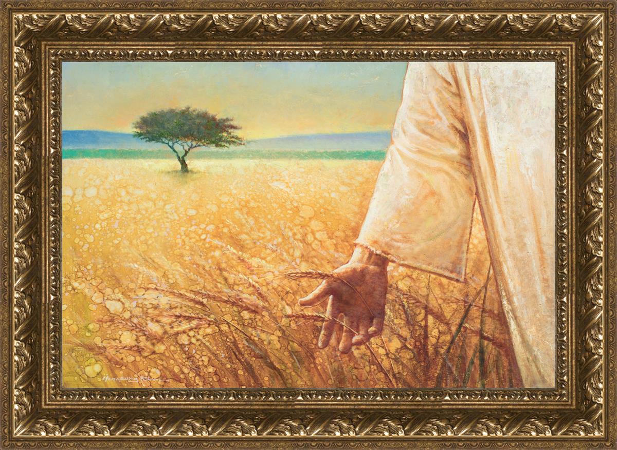 Wheat and Tares