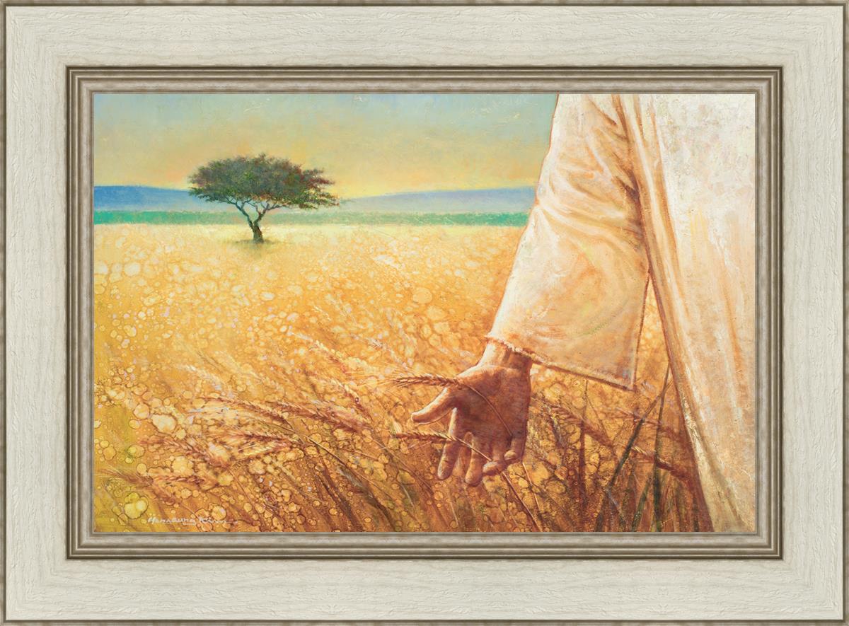 Wheat and Tares