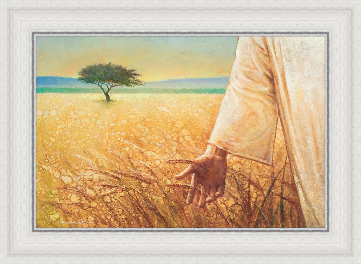 Wheat and Tares