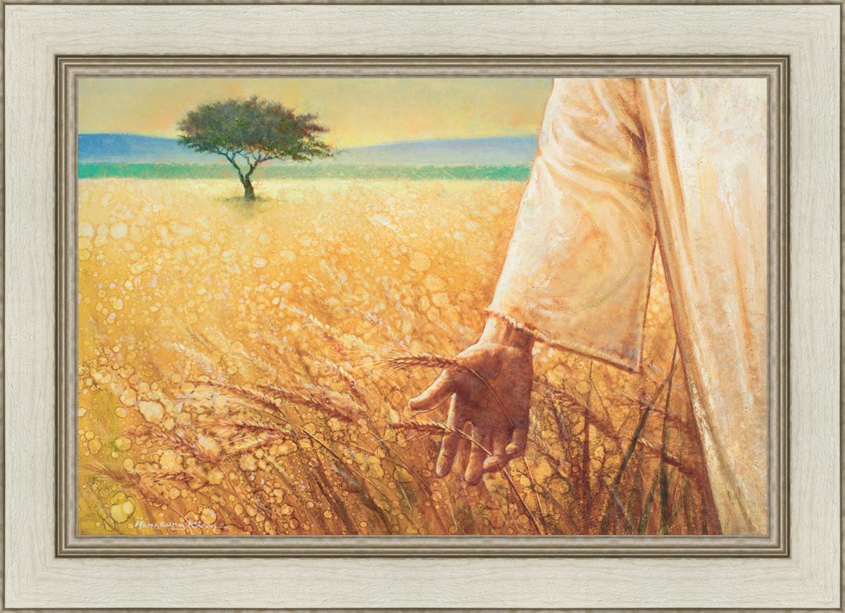Wheat and Tares
