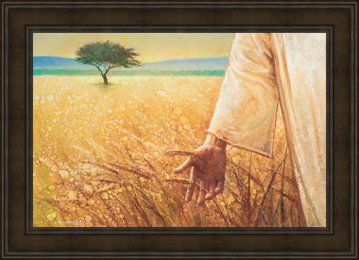 Wheat and Tares