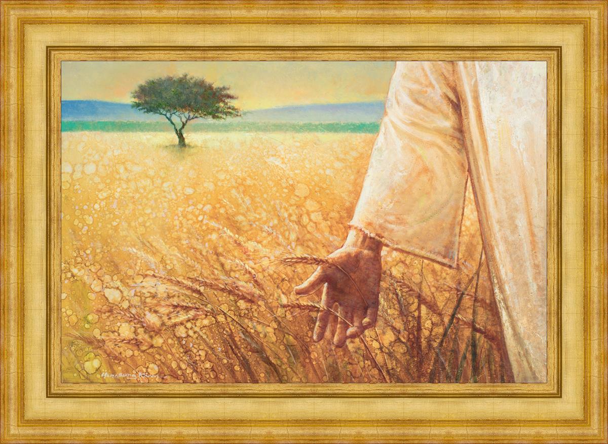 Wheat and Tares