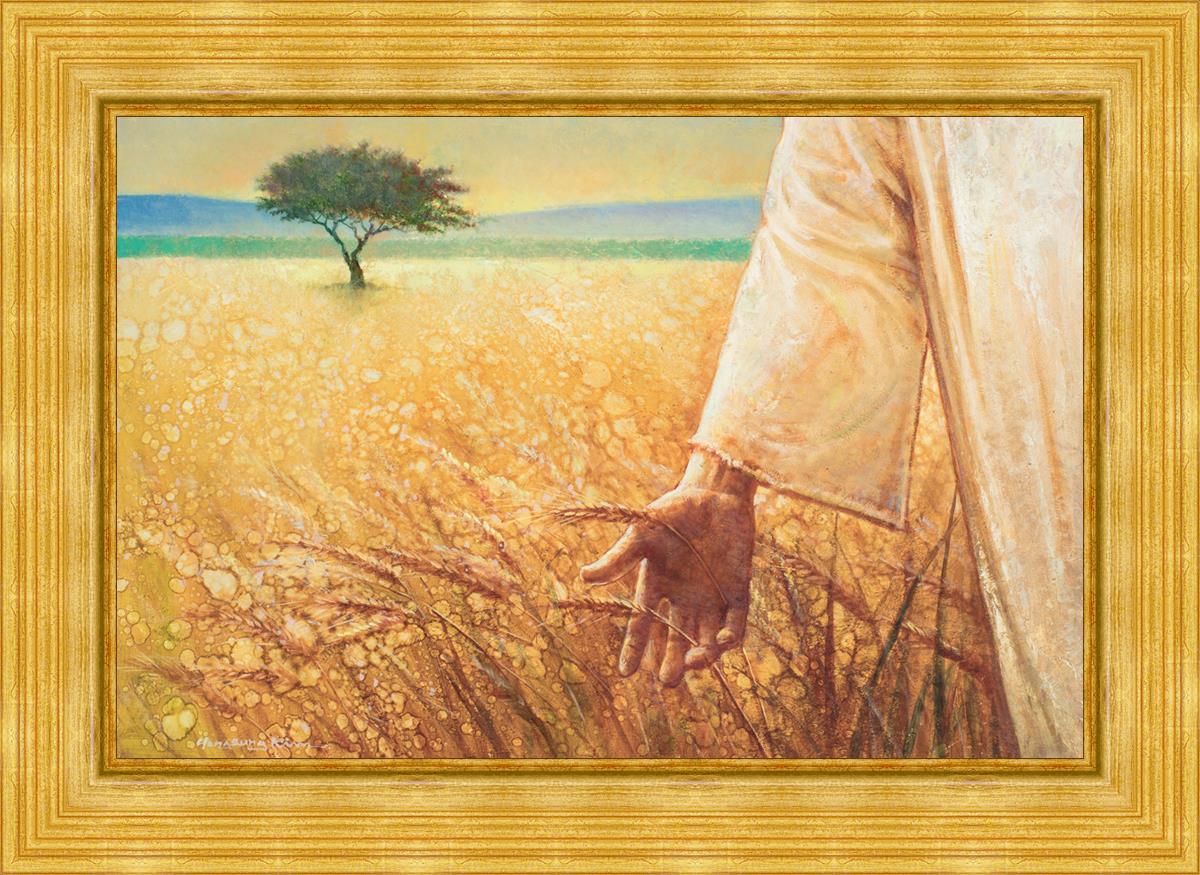 Wheat and Tares