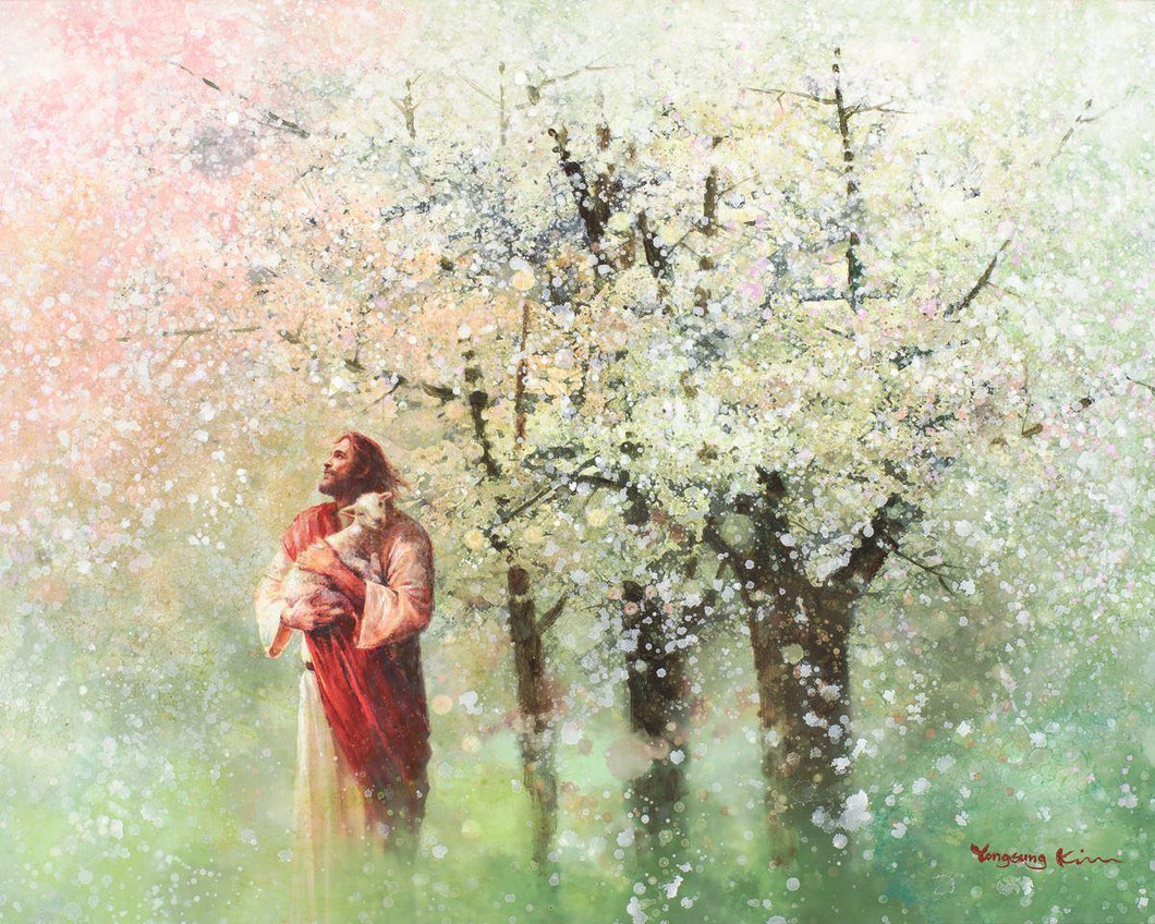 Heavenly Blossoms is a painting that depicts Jesus in a red robe hold his lamb near a blossum tree - Yongsung Kim | Havenlight | Christian Artwork
