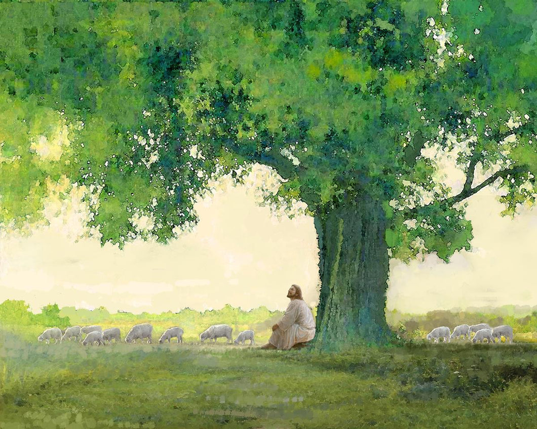 Morning Solace is a painting that depicts Jesus Christ sitting under a big green tree while watching His flock - Yongsung Kim | Havenlight | Christian Artwork