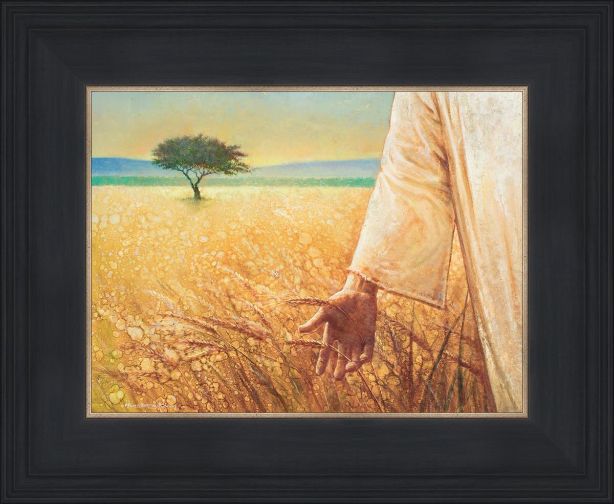 Wheat and Tares