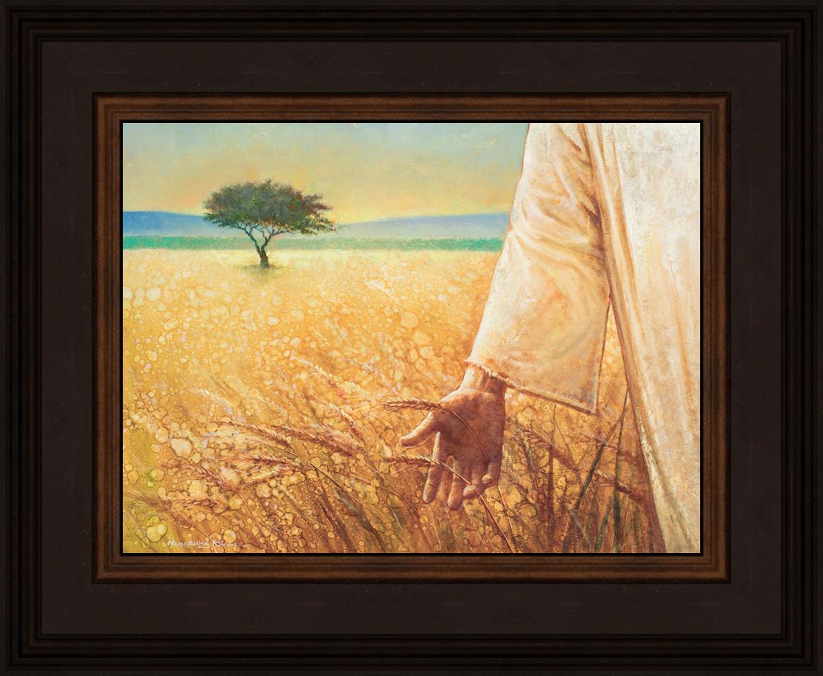 Wheat and Tares