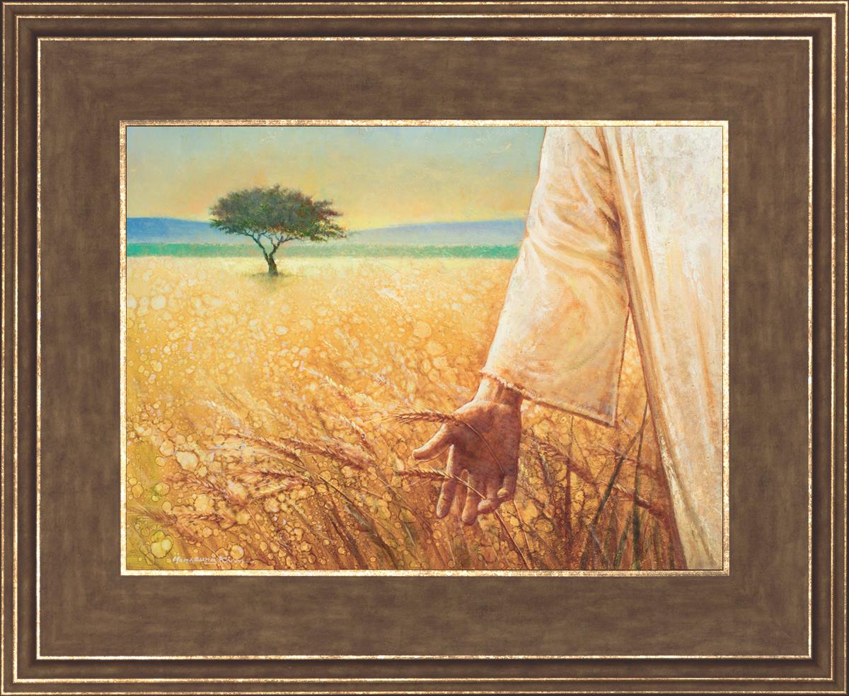 Wheat and Tares