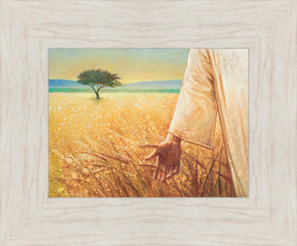 Wheat and Tares