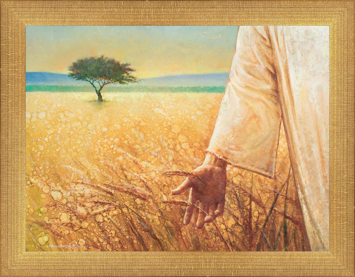 Wheat and Tares