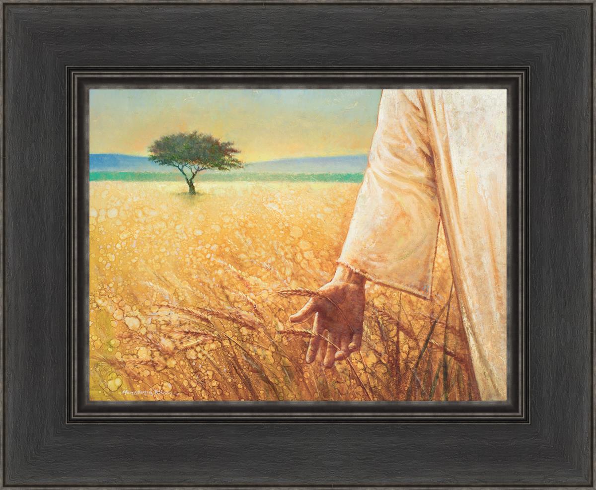 Wheat and Tares
