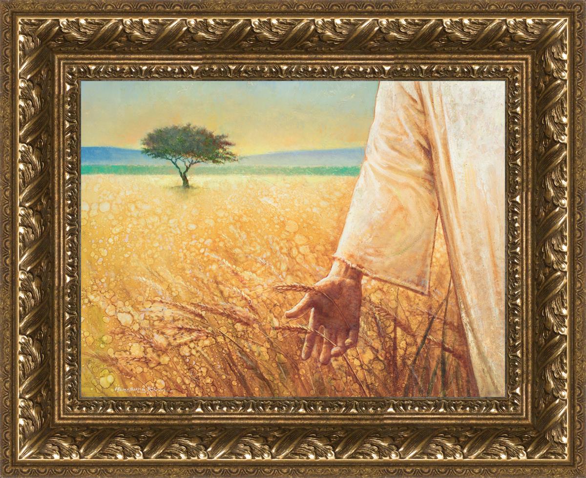 Wheat and Tares