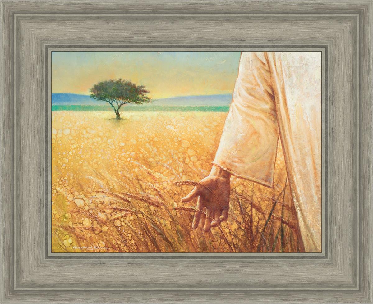 Wheat and Tares