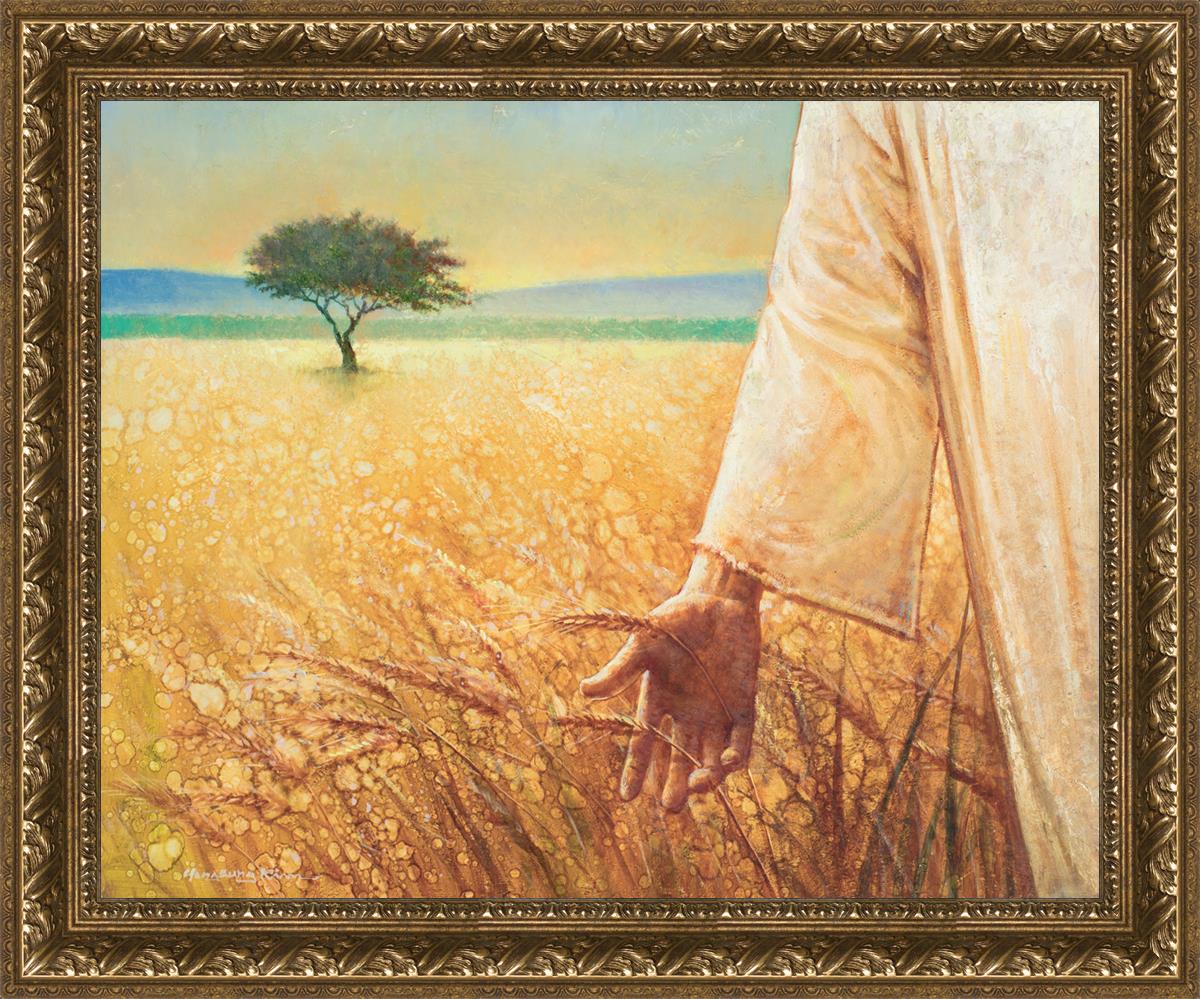 Wheat and Tares