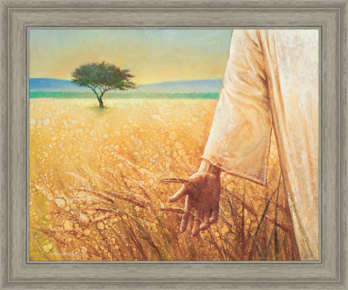 Wheat and Tares