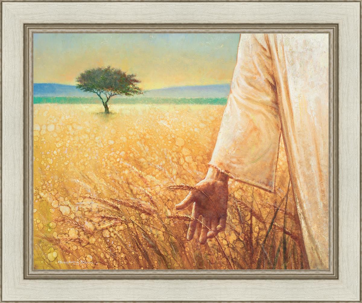 Wheat and Tares